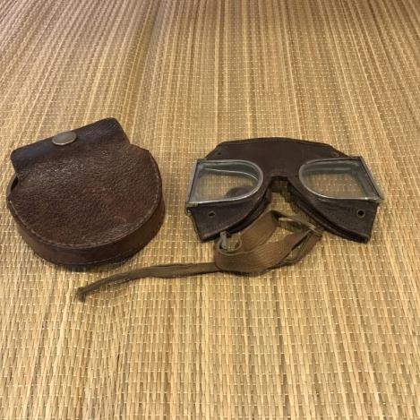 Goggles/Glasses case