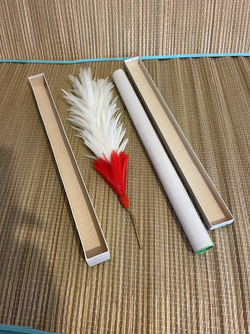 Hat Plume